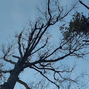 Meet your Posher, Maddy